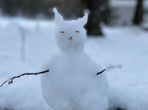 Фото: тањуг.рс