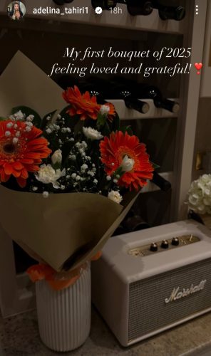 Пхото: принтсcреен/@аделина_тахири1