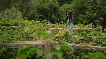 Меган Маркл го одлоžи своето реално šоу