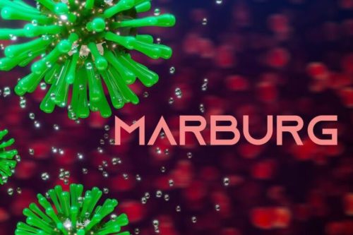 Фото:шуттерстоcк