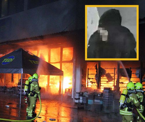 Десетгодиšно