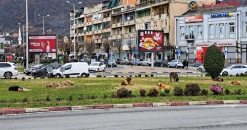 Прегазен пеšак во тетовc