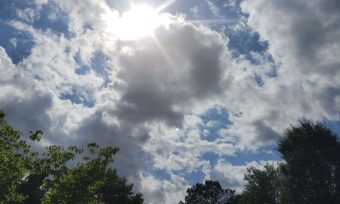 ВРЕМЕНСКА ПРОГНОЗА ЗА 8 АПРИЛ 2025 ГОДИНА!