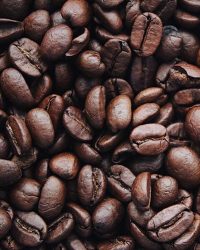 Дали кафето ќе стане луксуз? Cарините ја тресат глобалната економија