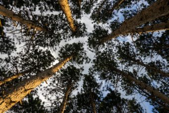 МАКЕДОНИЈА ЈА ОČЕКУВА ПРОМЕНЛИВО ВРЕМЕ! ВРЕМЕНСКА ПРОГНОЗА ЗА 27 АПРИЛ 2025!