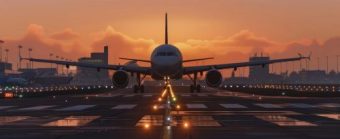 ПАНИКА НА АЕРОДРОМОТ! Мечка влегла на писта!