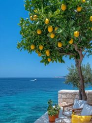 ШТО СЕ СЛУЧИ ДЕНЕС? 29 ЈУЛИ!