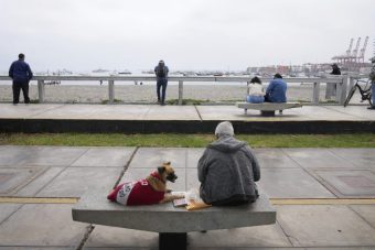 НОВ ЗЕМЈОТРЕС ВО ТИХИОТ ОКЕАН! Само ден по разорниот потрес! Вонредната состојба сè уште е на сила!