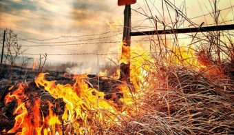 Три деца од Велика Британија под истрага за пожарот кај Стајковци!