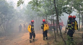 ДВА АКТИВНИ ПОЖАРИ ВО ВЕЛЕШКО И МАКЕДОНСКИ БРОД, ОГНОТ КАЈ ДОЈРАН СТАВЕН ПОД КОНТРОЛА!