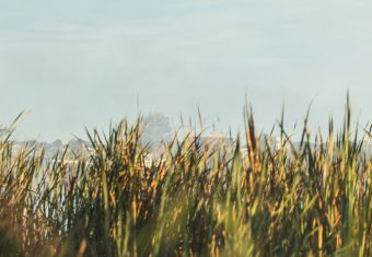 НЕВЕРОЈАТЕН ТОПЛИНСКИ ШОК ЗА МАКЕДОНИЈА – ПОДГОТВЕТЕ СЕ!