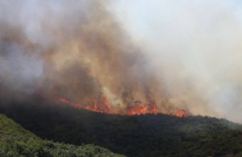 ПОЖАРИТЕ НЕ СТИВНУВААТ: ТРИ СÈ УШТЕ ГОРАТ, ЕДЕН ПОД КОНТРОЛА, 17 СЕ ИЗГАСНАТИ!