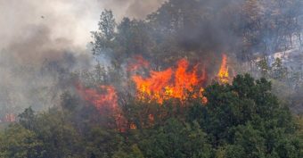 ПОЖАР ВО ИТАЛИЈА – ГОРИ ФАБРИКА ЗА ОТПАД!