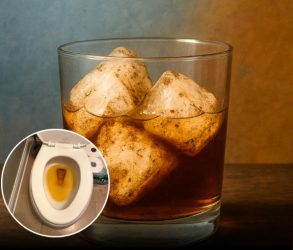 Научен проект од основно училиште покажа дека во 70 % од случаите, мразот од ресторани за брза храна е понечист од водата во тоалетите