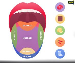 Дали знаете дека постои петти вкус – умаами? Еве за што станува збор!