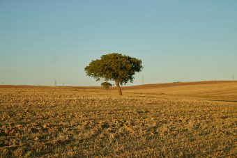 ЕКСТРЕМНО ТОПЛО ЛЕТО ВО МАКЕДОНИЈА: ПЕКОЛЕН 21 АВГУСТ ГО ЗАФАЌА ЦЕЛИОТ РЕГИОН!