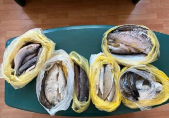 Фатен со риба под резервна гума: Албанец се обидел да прошверцува пастрмка преку Ќафасан! (ФОТО)