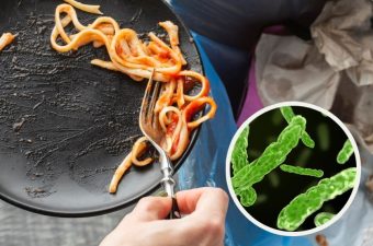 ВНИМАВАЈТЕ! Ова сите го ДОПИРАМЕ во ресторан, а на него има околу 11.000 бактерии!