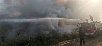 СКОПЈЕ СЕ ГУШИ ВО ЧАД И МИРИС НА ПЛАСТИКА: ПОЖАРОТ ВО ДРИСЛА СЕ ШИРИ, ГРАЃАНИТЕ СОЗДАВААТ ПАНИКА – ДАЛИ Е НАМЕРНО ПОДМЕТНАТ?