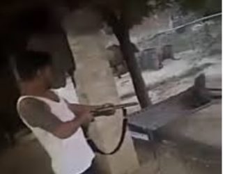 СО ПУШКА ГО РАНИЛ СОПСТВЕНОТО КУТРЕ – КАВАДАРЦИ ВО ШОК ОД БРУТАЛНИОТ ЧИН!