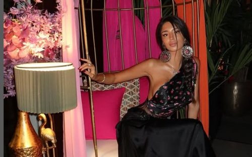 фото: принсcреен/инстаграм/дјинаѕиновиc 