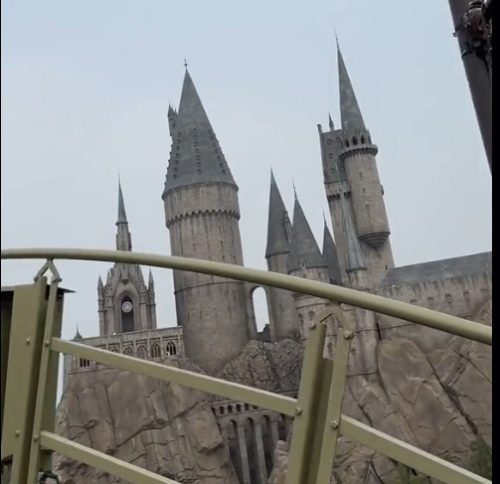 фото: принсcреен/тикток/аннyдепауллаа