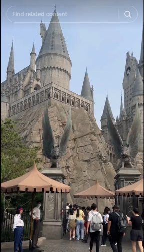 фото: принсcреен/тикток/аннyдепауллаа