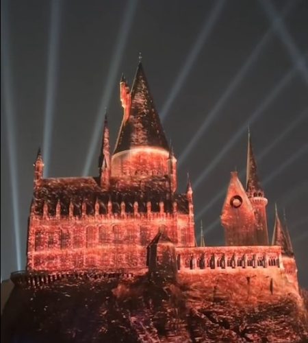 фото: принсcреен/тикток/аннyдепауллаа