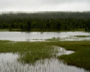 НОЌВА НЕВРЕМЕ ГО ЗАФАЌА ИСТОКОТ – СИЛЕН ДОЖД, ВЕТЕР И ГРМЕЖИ НАЈАВЕНИ ЗА ВЕЧЕР!