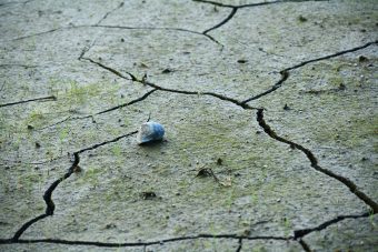 СИЛЕН ЗЕМЈОТРЕС ГО РАЗБУДИ ЈУГОИСТОКОТ НА МАКЕДОНИЈА – ЕПИЦЕНТАРОТ ВО ГРЦИЈА!