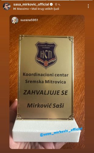 Фото: Инстаграм / принтскрин/ саса_мирковиc_оффиcиал