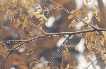 ДЕНЕСКА СОНЧЕВО СО МАЛА ДО УМЕРЕНА ОБЛАЧНОСТ, А ЕВЕ КАКВО ВРЕМЕ НЕ ОЧЕКУВА ОД УТРЕ!