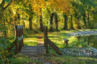 СОВРШЕНО ЕСЕНСКО СОНЦЕ – ЕВЕ КАКВО ЌЕ БИДЕ ВРЕМЕТО ДЕНЕСКА!