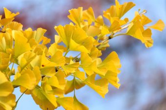 ВРЕМЕТО СЕ МЕНУВА ПОВТОРНО – ЕВЕ ШТО ДА ОЧЕКУВАТЕ ДЕНЕС!