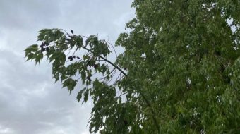 НЕСТАБИЛНО ВРЕМЕ СО СИЛЕН СЕВЕРЕН ВЕТЕР – ПОРИВИ НАД 60КМ/Ч ВО ДЕЛОВИ ОД ЗЕМЈАТА!