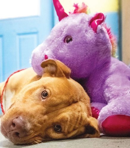 фото: принтскрин/ инстаграм/пубитy