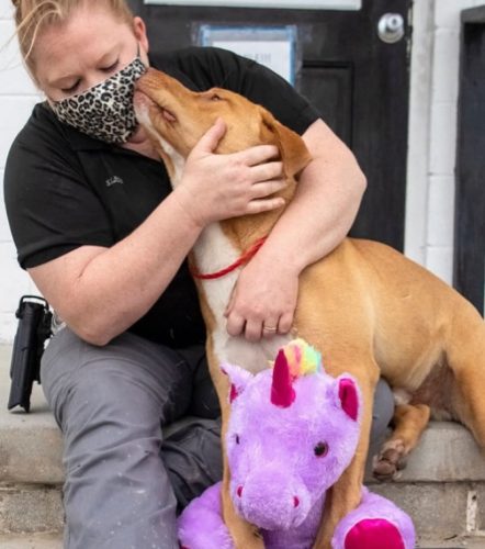 фото: принтскрин/ инстаграм/пубитy