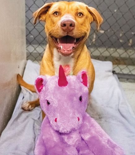 фото: принтскрин/ инстаграм/пубитy