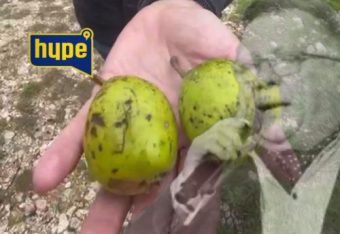 КРУШИТЕ ОД ДВОРОТ НА ХАЛИД КОИ ШТО ГИ ЈАДЕЛ ПРЕД СМРТТА! Роднина открива детали од последните моменти од животот на Бешлиќ