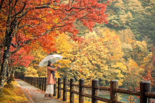 фото: истоcкфото.cом