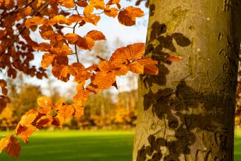 НЕОЧЕКУВАНО ЗАТОПЛУВАЊЕ ВО ОКТОМВРИ! ПОГЛЕДНЕТЕ ШТО НÈ ОЧЕКУВА ВО СЛЕДНИТЕ ДЕНОВИ!